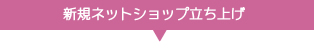 ネットショップ立ち上げ