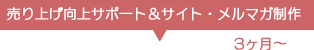売上サポート＆メルマガ作成